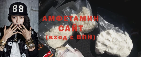 прущая мука Вяземский