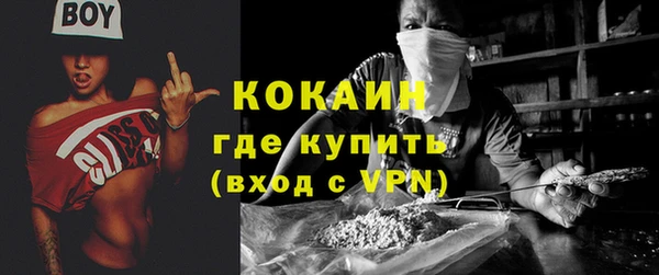 прущая мука Вяземский