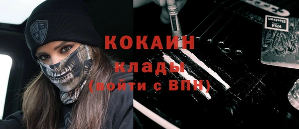кокс Гусев