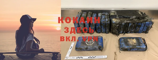 прущая мука Вяземский