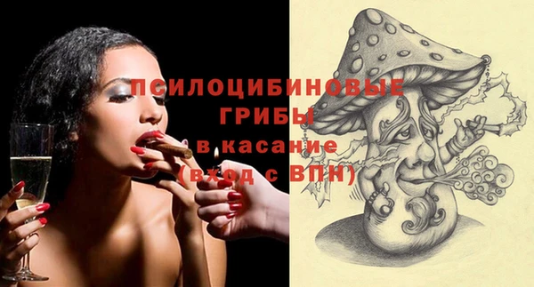 Альфа ПВП Гусиноозёрск
