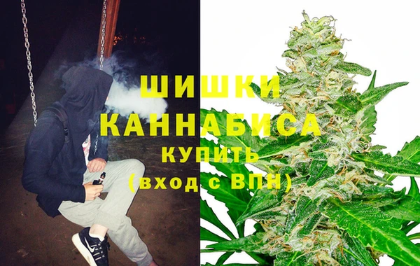 Альфа ПВП Гусиноозёрск