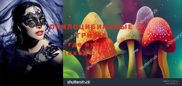 Альфа ПВП Гусиноозёрск