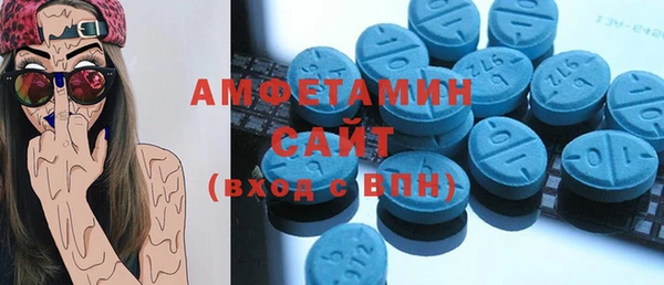 прущая мука Вяземский