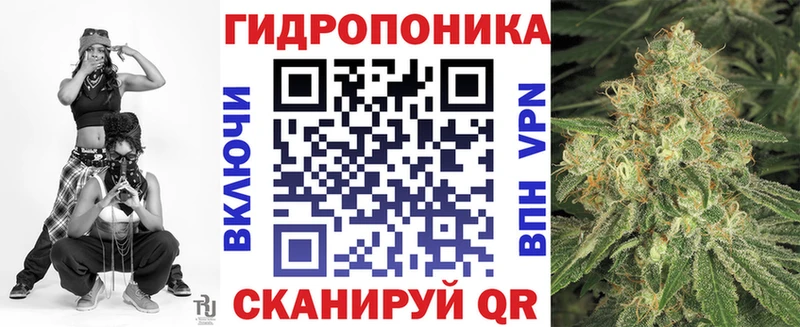 дарнет шоп  Дорогобуж  Каннабис Amnesia 